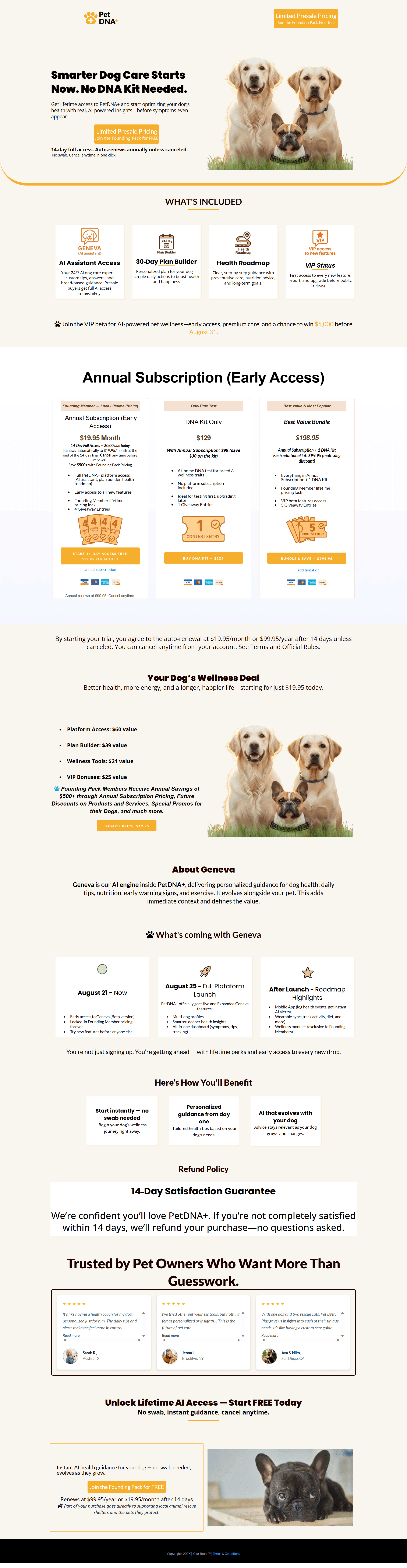 Creative Brand Website